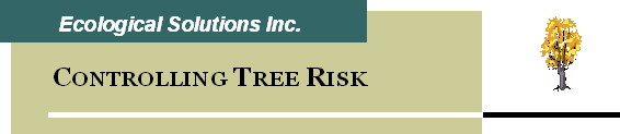 Controlling Tree Risk